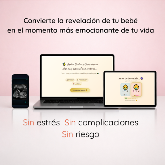 Baby Reveal Experience